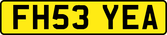 FH53YEA