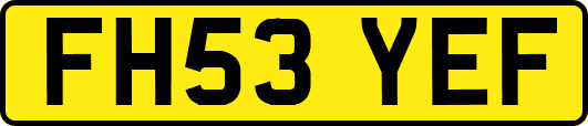 FH53YEF