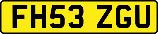 FH53ZGU
