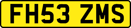 FH53ZMS