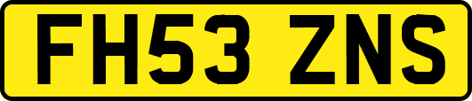 FH53ZNS