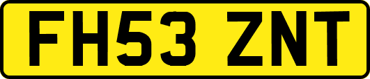 FH53ZNT