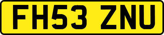 FH53ZNU