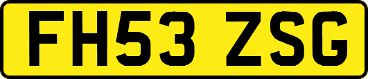 FH53ZSG