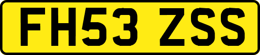 FH53ZSS