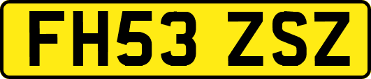 FH53ZSZ