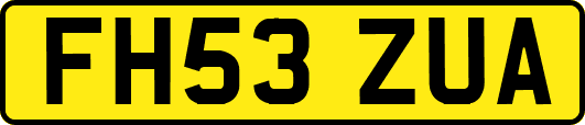FH53ZUA