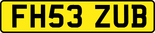 FH53ZUB
