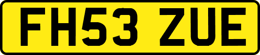 FH53ZUE