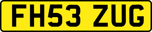 FH53ZUG