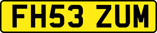 FH53ZUM