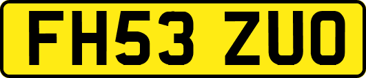 FH53ZUO