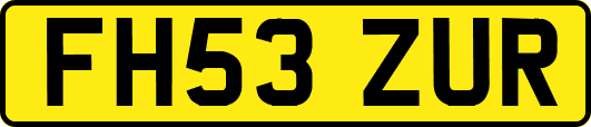 FH53ZUR