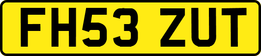 FH53ZUT