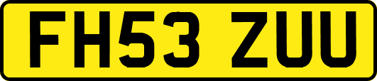 FH53ZUU
