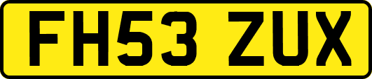 FH53ZUX