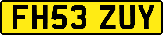 FH53ZUY