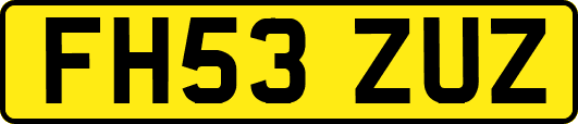 FH53ZUZ