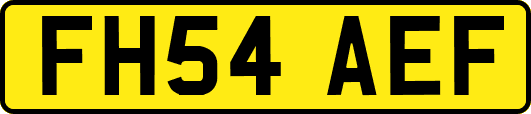 FH54AEF