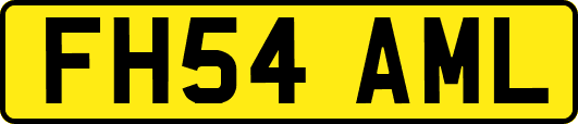 FH54AML