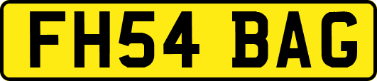 FH54BAG