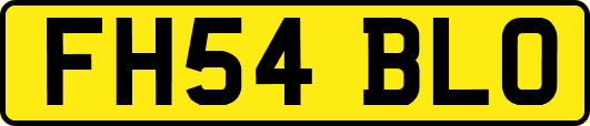 FH54BLO