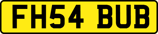 FH54BUB