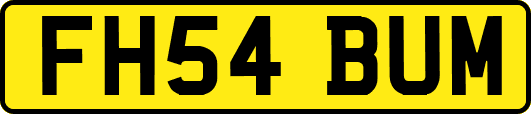 FH54BUM