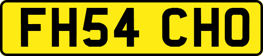 FH54CHO