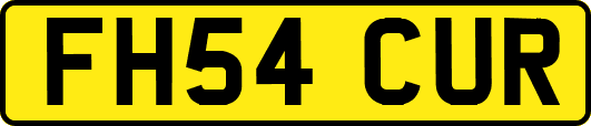 FH54CUR
