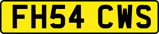 FH54CWS