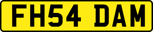 FH54DAM