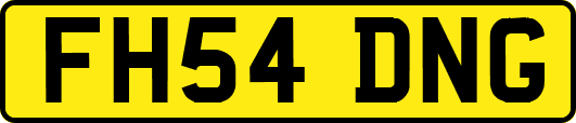 FH54DNG