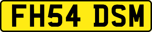 FH54DSM
