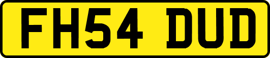 FH54DUD