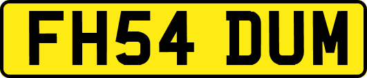 FH54DUM