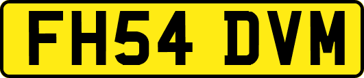 FH54DVM