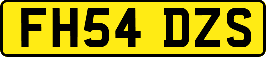 FH54DZS