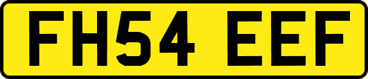 FH54EEF