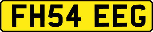 FH54EEG