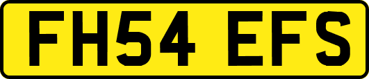 FH54EFS