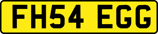 FH54EGG