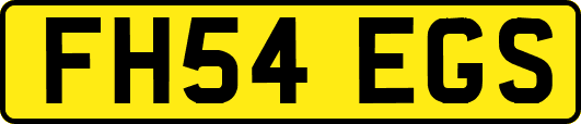 FH54EGS