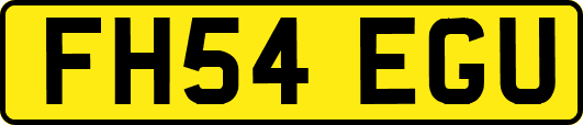 FH54EGU