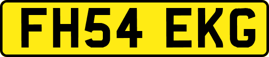 FH54EKG