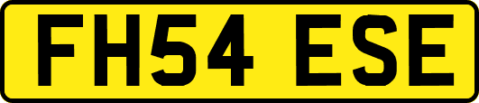 FH54ESE