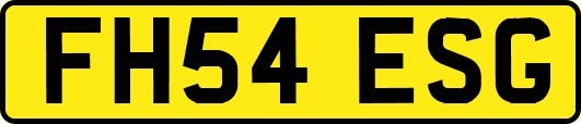 FH54ESG