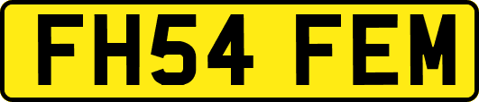FH54FEM