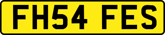 FH54FES