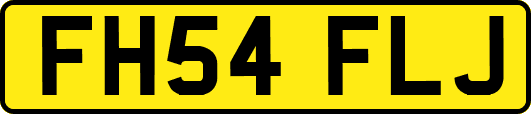 FH54FLJ